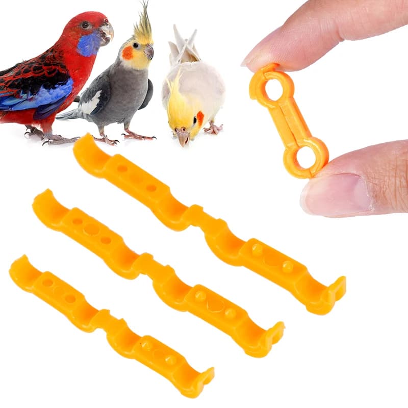 4/5/6mm Parrot Leg Corrector Nestling Leg Splint Rutin Chicken Budgie Cockatiel Eight Character Correction Ring Bird Supplies