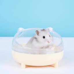 Beautiful Transparent For Mice Rabbit Pets Cage Toilet Hamster Bathroom Hamster Sand Bath Box Hamster Sand Bath Container