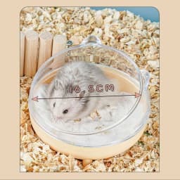 Beautiful Transparent For Mice Rabbit Pets Cage Toilet Hamster Bathroom Hamster Sand Bath Box Hamster Sand Bath Container