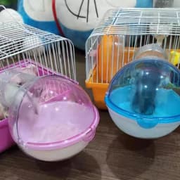 Bathroom Cage Box Pet Hamster Small Animal Bath Sand Room House Pets Hamster Mouse Small Animals Toilet For Hamster Mouse