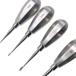 Pet Dental Instruments Feline Canine Dental Elevators with Auxiliary Wing Short Handle Straight Root Elevators Oral Examination