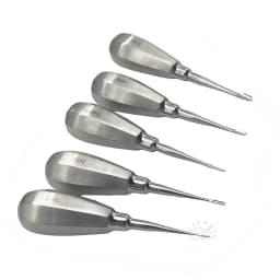 Pet Dental Instruments Feline Canine Dental Elevators with Auxiliary Wing Short Handle Straight Root Elevators Oral Examination