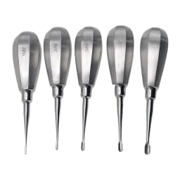 Pet Dental Instruments Feline Canine Dental Elevators with Auxiliary Wing Short Handle Straight Root Elevators Oral Examination