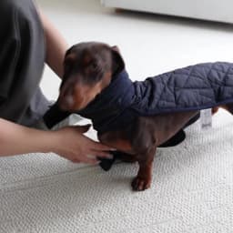 Autumn/Winter Dog Clothes for Dachshund Soft Warm Water Repellent Dog Jacket for Sausage Dog Quilted Outdoor Short-Leg Dog Coat