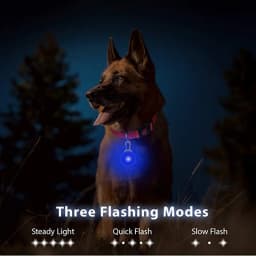 Led Dogs Collars Pendant Rechargeable Pet Usb Luminous Collar Pendant Puppy Flash Light Leash Accessorie Decoration Dog Necklace