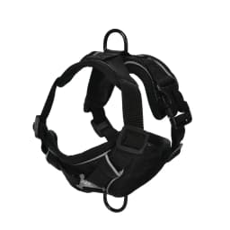 Dog Harness Leash Set For Small Medium Dogs Cat Hiking Adjustable Puppy Leash Reflective Harness Vest Chihuahua Pug Pet Supplies