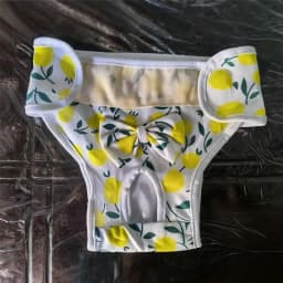 Reusable and Adjustable Dog Diaper Pants - High-Quality Breathable Mesh Menstrual Pants, Suitable for Indoor and Outdoor Use, Stylish Lemon Leaf Pattern Design, Comfortable Pet Clothing, Available in Two Colors