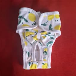 Reusable and Adjustable Dog Diaper Pants - High-Quality Breathable Mesh Menstrual Pants, Suitable for Indoor and Outdoor Use, Stylish Lemon Leaf Pattern Design, Comfortable Pet Clothing, Available in Two Colors