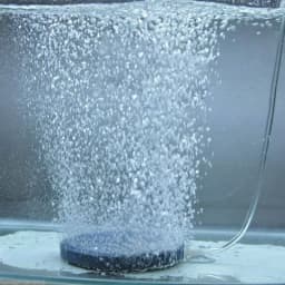 2025 new Fish Tank Aquarium Air Stone Oxygen Aerator Increasing Air Bubble Pond Pump Hydroponic Oxygen Supply Stone 4cm