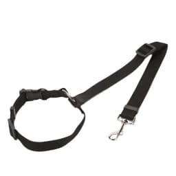 Reflective Pet Dog Car Seat Belt Puppy Collar Walking Travel Car Accessories Cat Leash Harness for Small Dogs Pet Car Supplies