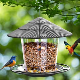 Bird Feeder Automatic Foot Feeding Tool Outdoor Bird Feeder Hanging Nut Feeding Multiple Hole Dispenser Holder Food Container