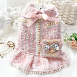 Winter Fall Pet Clothes, Luxury Princess Dress With Pearl Bowknot For Small Dogs & Cats - Perfect For Bichon Frise, Schnauzer