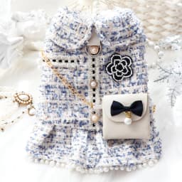 Winter Fall Pet Clothes, Luxury Princess Dress With Pearl Bowknot For Small Dogs & Cats - Perfect For Bichon Frise, Schnauzer