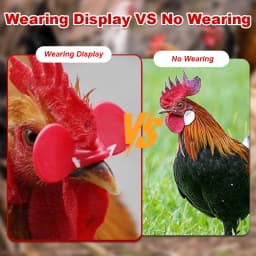 100/200 Pcs M/L Plastic with Bolt Chicken Glasses Chicken Pigeon Pheasant Anti-pecking Glasses Poultry Hen Accessories