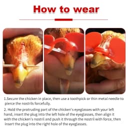 100/200 Pcs M/L Plastic with Bolt Chicken Glasses Chicken Pigeon Pheasant Anti-pecking Glasses Poultry Hen Accessories