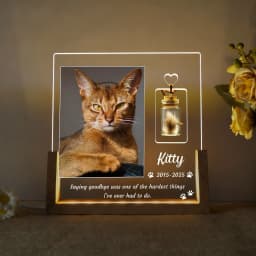 Pet Memorial Gift Custom Photo Night Light for Deceased Pets Personalized LED Pet Plaque Sympathy Gift for Dog Cat Loss with Sta