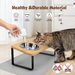 Elevated Cat Bowls with Food Mat 15° Tilted Stand Raised Cat Dishes for Food and Water Feeder 2 Stainless Steel Bowls for Cats
