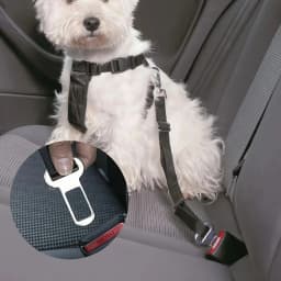 2/4 Pet Seat Belt Adapters Car Metal Clips for Pet Leashes, Compatible with Truck & Car Seats