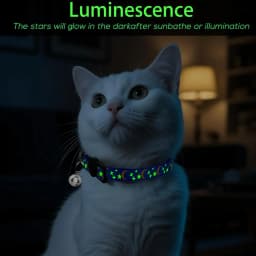 Pet Collar Cat Dog Gold Color Stars and Moon Pet Collar with Bell and PP Material Separate Luminescence Safety Buckle Solid Safe
