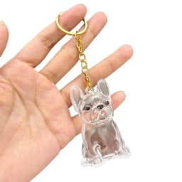 Dog Hair Collection Pendant Hair Storage Box Charm Pet Cute Keychains Clear Plastic Pet Hair Capsule Souvenirs DIY Gifts