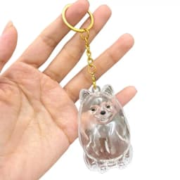 Dog Hair Collection Pendant Hair Storage Box Charm Pet Cute Keychains Clear Plastic Pet Hair Capsule Souvenirs DIY Gifts