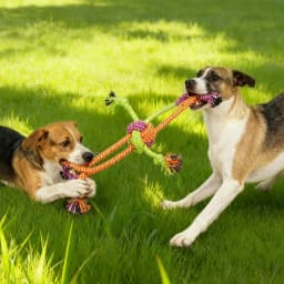 1pc Durable Bite-Resistant Interactive Knot Toy for Dogs- Chewable Rope with Green&Orange Fringes,Playful Design, Dog Toys