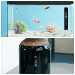 5Pcs/10Pcs Aquarium Fish Tank Strip Stick-on discolor Thermometer Sticker Adhesive Sticky Dual Scale Sticker Temperature Tools