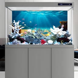 Sunshine Beach, Aquarium Background Wallpaper, Fish Tank Stickers, Suitable for Aquariums, Fish Tanks, High Definition