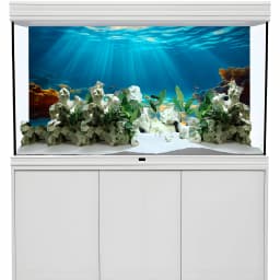 Sunshine Beach, Aquarium Background Wallpaper, Fish Tank Stickers, Suitable for Aquariums, Fish Tanks, High Definition