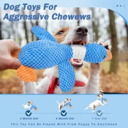 New Pineapple Velvet Goose Dog Toy Cat Toy Pet Double Color Goose Tough Bite Chew Plush Sound Toy Pet Supplies