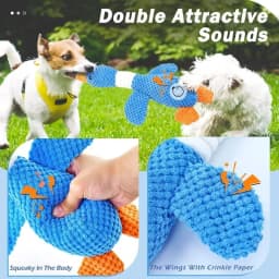 New Pineapple Velvet Goose Dog Toy Cat Toy Pet Double Color Goose Tough Bite Chew Plush Sound Toy Pet Supplies