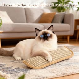 Catnip Toys for Indoor Cats Cat Toys Sisal Scratching Pad Bite Resistant Kitten Teething Toys Interactive Cat Nip Kicker Toys