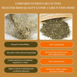 Catnip Toys for Indoor Cats Cat Toys Sisal Scratching Pad Bite Resistant Kitten Teething Toys Interactive Cat Nip Kicker Toys