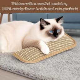 Catnip Toys for Indoor Cats Cat Toys Sisal Scratching Pad Bite Resistant Kitten Teething Toys Interactive Cat Nip Kicker Toys