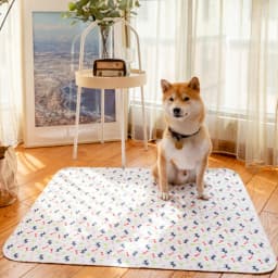 1Pc Puppy Pads With Pheromones, Washable PuppyPad Pee Pads, Ultra-Durable 4-Layer Leak-Proof Training Mats With Non-Slip Bottom