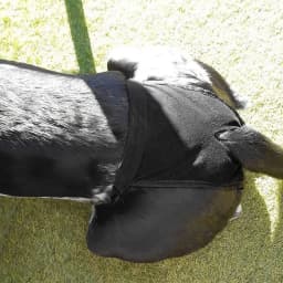 With 3 Cotton Pads Female Dog Panties Easy To Wear Washable Dog Physiological Nappies Breathable Adjustable