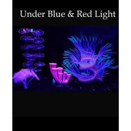 Aquarium Fish Tank Decorations with Fluorescence Effect Silicone Glow Artificial Ornament Coral Reef Plants for Aquarium Fish