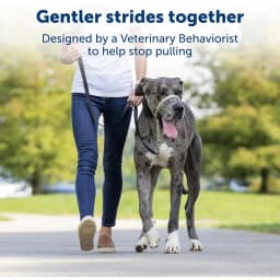 Zhenjia Hot Selling New No-pull Dog collar Adjustable Anti-barking Biting Mouth Cover Dog Mouth Collar Mouth Mask