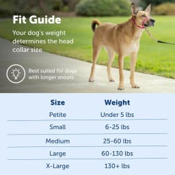 Zhenjia Hot Selling New No-pull Dog collar Adjustable Anti-barking Biting Mouth Cover Dog Mouth Collar Mouth Mask