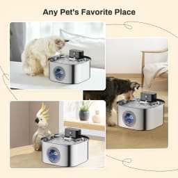 Stainless Steel Wireless Recharging Sensor Cat Water Fountain Auto Drinking Fountain For Cats Dog Drinker Pet Dispenser Bowl
