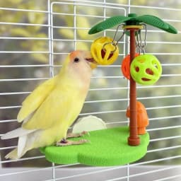Coconut-shaped Bird Perch Stand Detachable Funny Parrot Play Stands Cartoon Wear Resistant Birdcage Platform