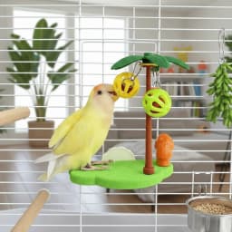 Coconut-shaped Bird Perch Stand Detachable Funny Parrot Play Stands Cartoon Wear Resistant Birdcage Platform