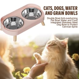 Stainless Steel Anti-Slip Cervical Protect Dual Bowl Pet Food Feeder for Cats and Dogs with Elevated Design