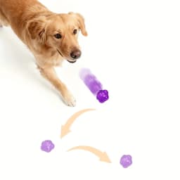 Funny Rubber Dog Ball Toy Play Squeak Toy Sound Chew Treat Holder Puppy Training Molar Toys Interactive Pet Supplies