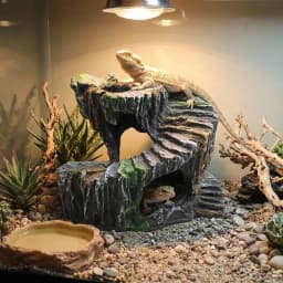 Resin Turtle Basking Platform Sturdy Non-Toxic Reptile Hiding Cave Natural Mountain Cave Artificial Rock Cave Terrarium Decor