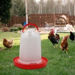 6L Automatic Chicken Coop Water Bucket Dispenser Poultry Water Dispenser Waterer Plastic Poultry Drinking Bucket Supply
