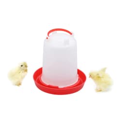 6L Automatic Chicken Coop Water Bucket Dispenser Poultry Water Dispenser Waterer Plastic Poultry Drinking Bucket Supply