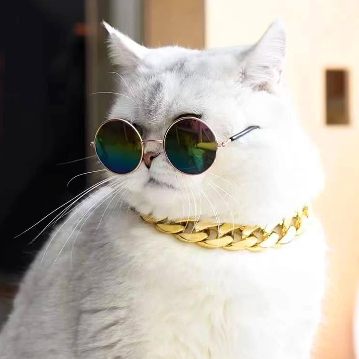 Pet Big Gold Chain Collar Adjustable Premium Dog Necklace & Cat Collar For High-End Aesthetic Richer Style Decorations Collar