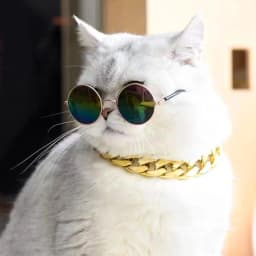 Pet Big Gold Chain Collar Adjustable Premium Dog Necklace & Cat Collar For High-End Aesthetic Richer Style Decorations Collar