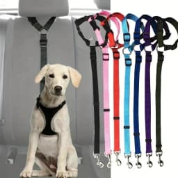 Solid Color Two-in-one Pet Car Seat Belt Nylon Lead Leash Backseat Safety Belt Adjustable Dogs Harness Collar Pet Accessories